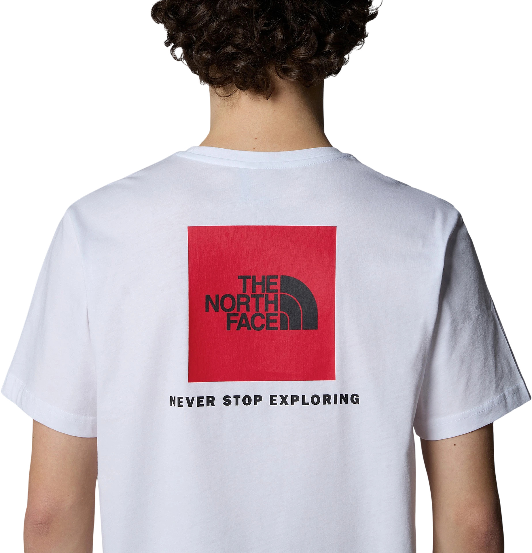 Футболка The North Face NF Mens Logowear Tops