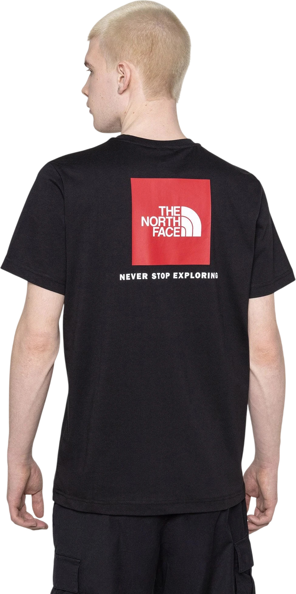 Футболка The North Face NF Mens Logowear Tops