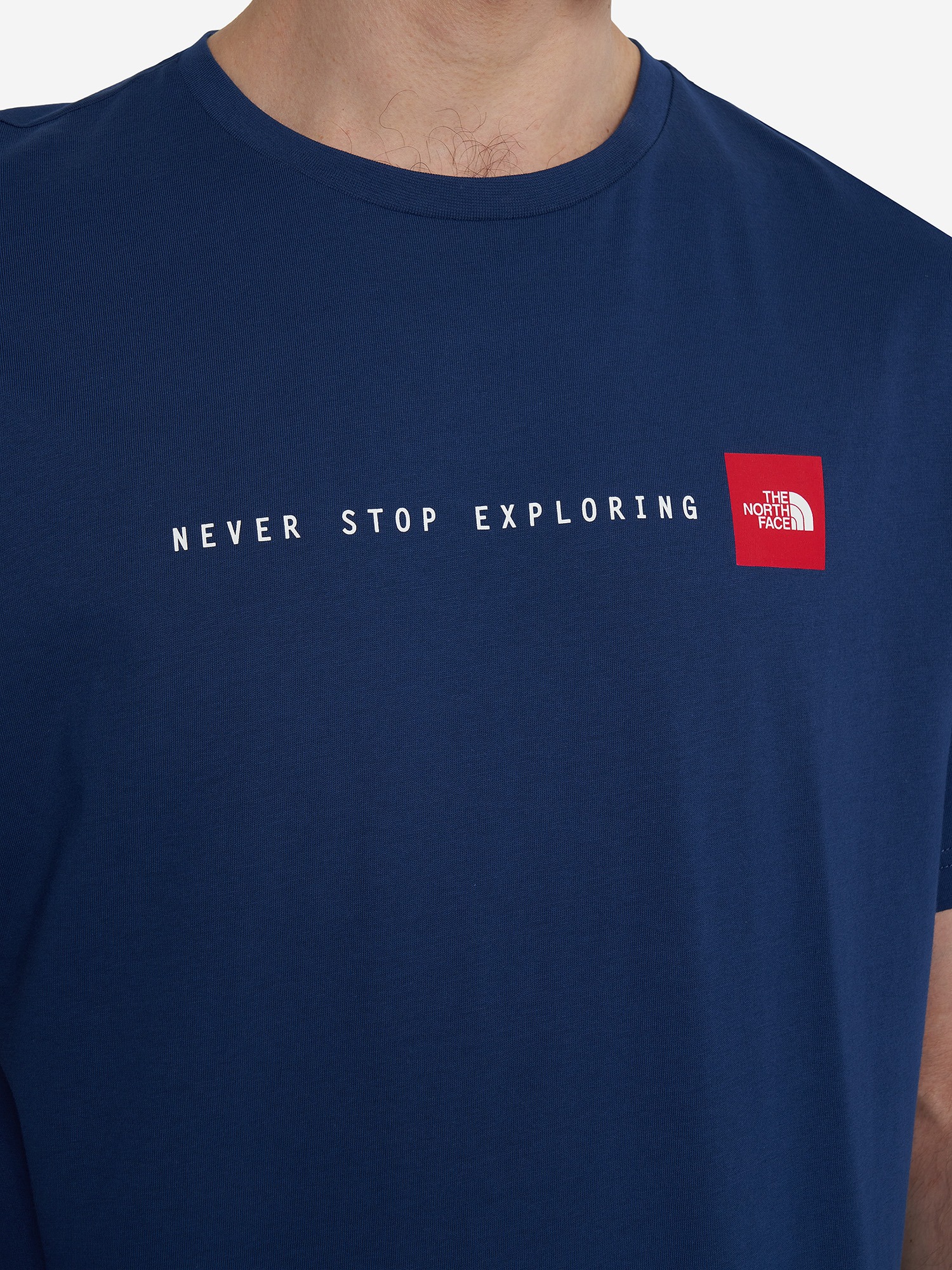 Футболка The North Face NF Mens Logowear Tops