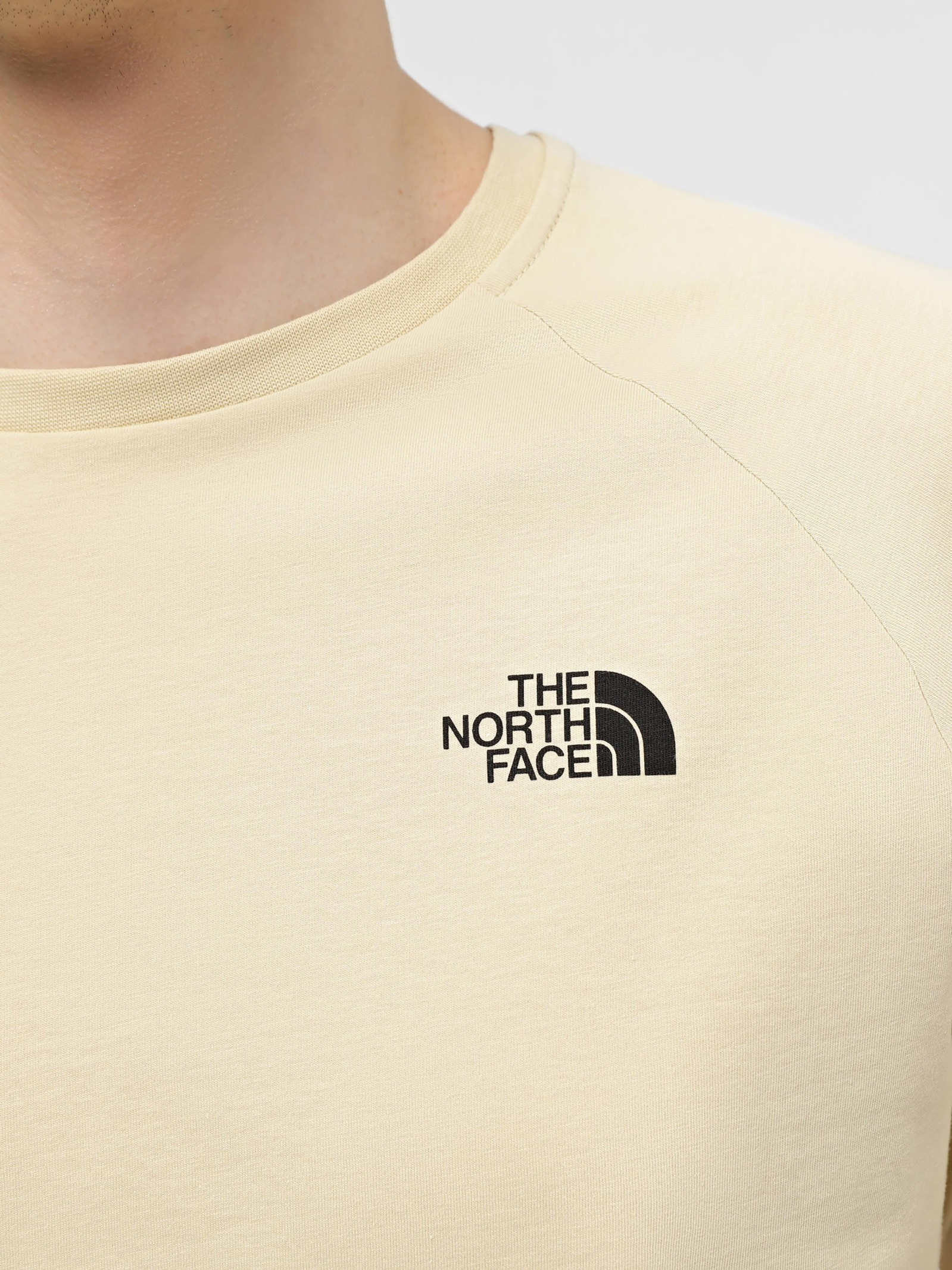 Футболка The North Face NF Mens Logowear Tops