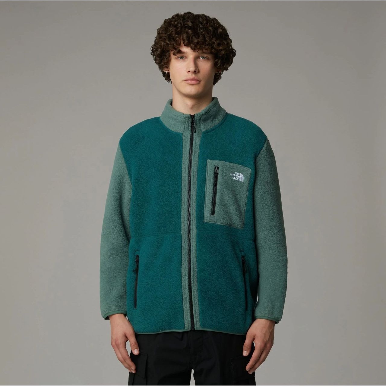 Толстовка The North Face NF Mens Fleece Jackets
