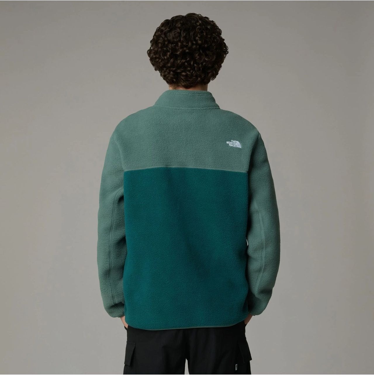 Толстовка The North Face NF Mens Fleece Jackets