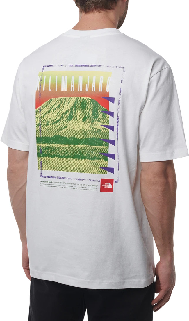 Футболка The North Face NF Mens Logowear Tops